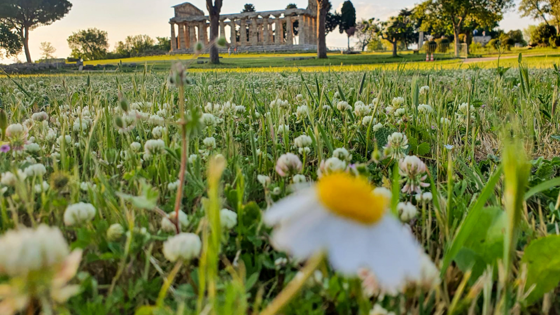 Paestum principale